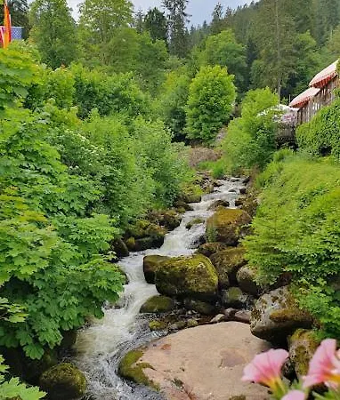 公寓 My Zittauer Strasse 10