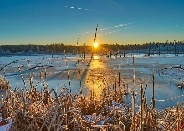 My Zittauer Strasse 10 *